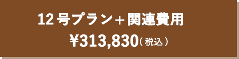 12号プラン+関連費用　¥313,830(税抜)
